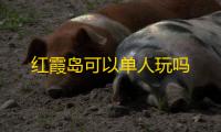 红霞岛可以单人玩吗